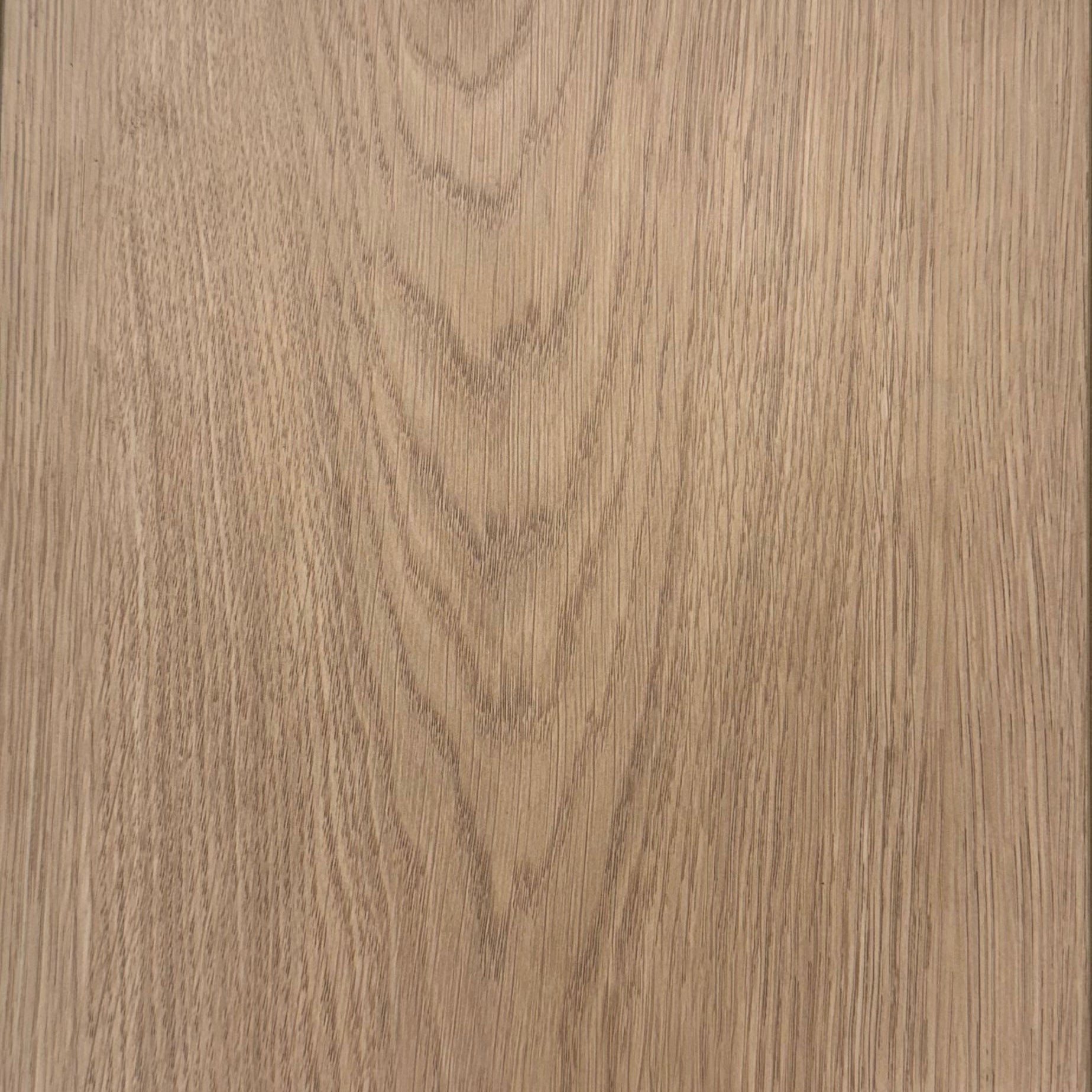 Sandy Oak -23009-4