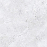 Arctic Tundra White Polish