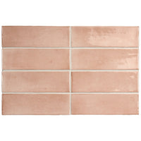 Coco Orchard Pink Gloss Subway 50x150mm