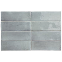Coco Blue Grass Gloss Subway 50x150mm