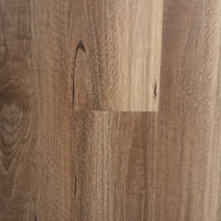 Hybrid 7010 - NSW Spotted Gum