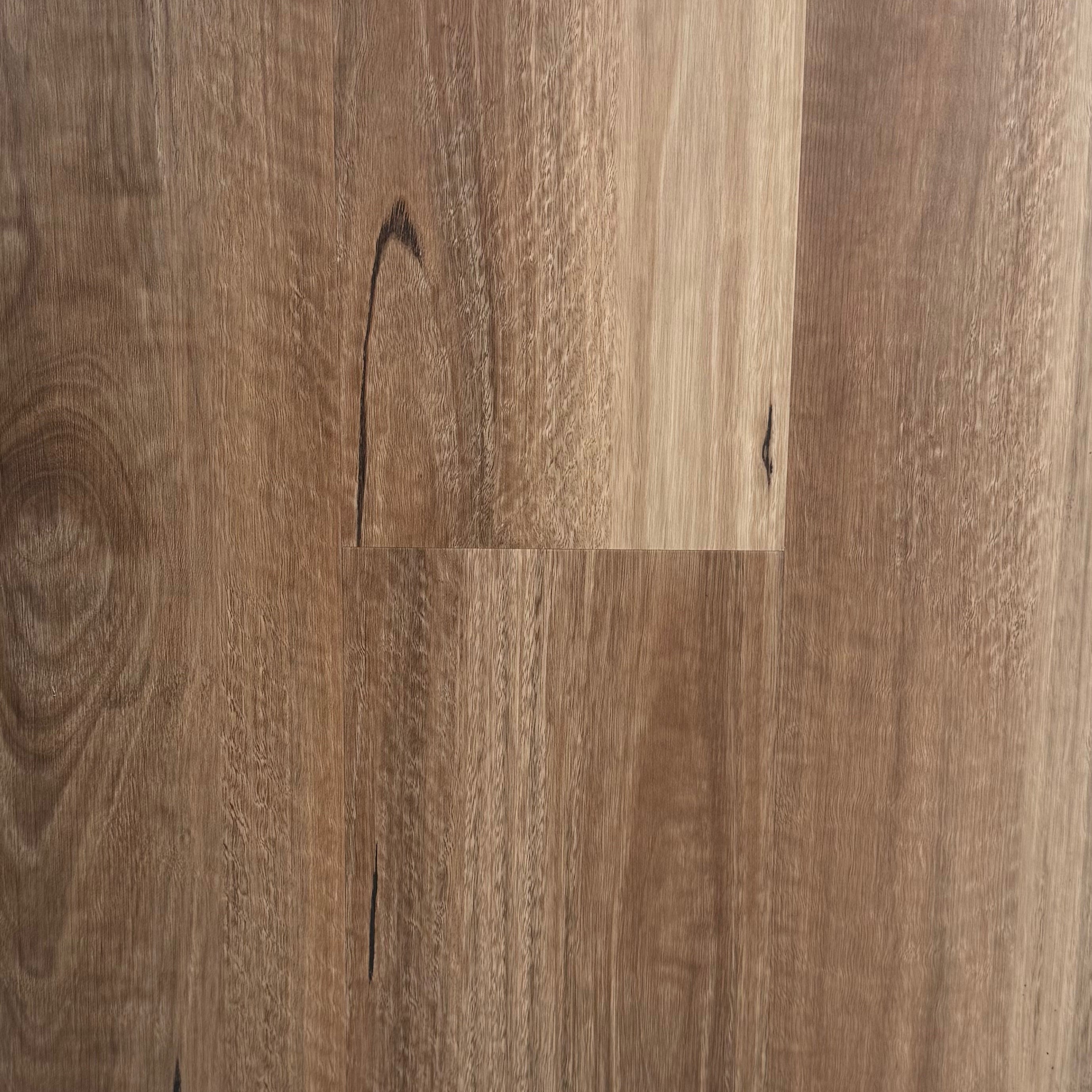 Hybrid 7010 - NSW Spotted Gum