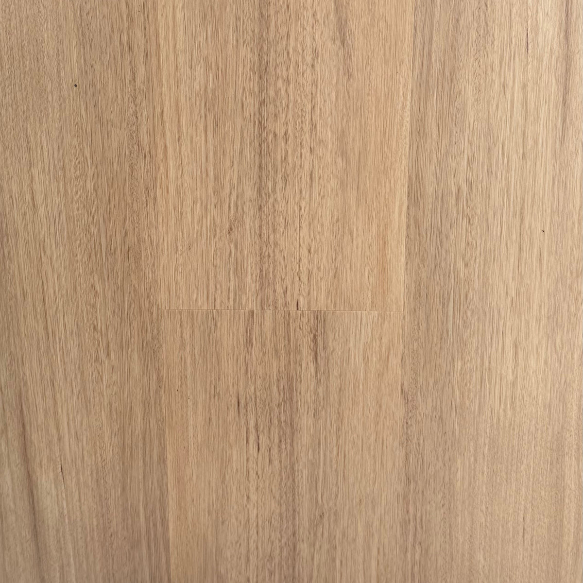 Hybrid 7016 - Blackbutt