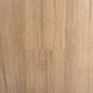 Hybrid 7016 - Blackbutt