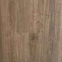 Hybrid 7015 - Salem Oak