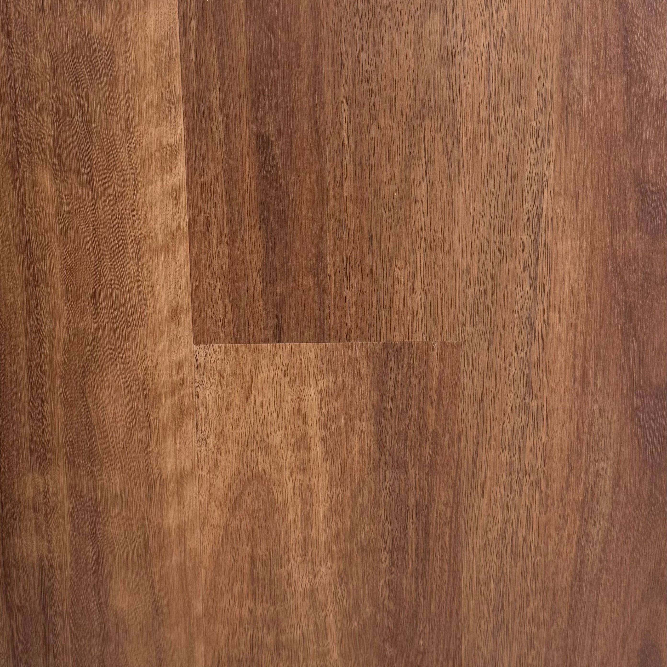 Hybrid 7019 - Jarrah