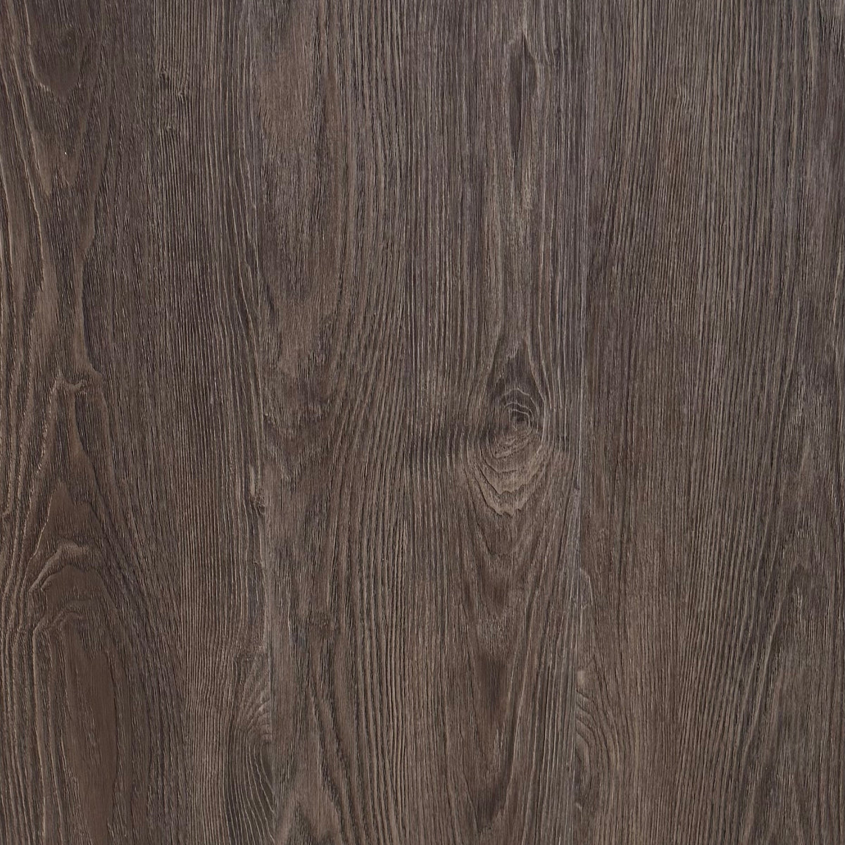 Hybrid 7014 - Dark Oak