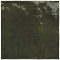 La Riviera Botanical Green Gloss 132x132mm