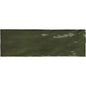 La Riviera Botanical Green Gloss Subway 65x200mm