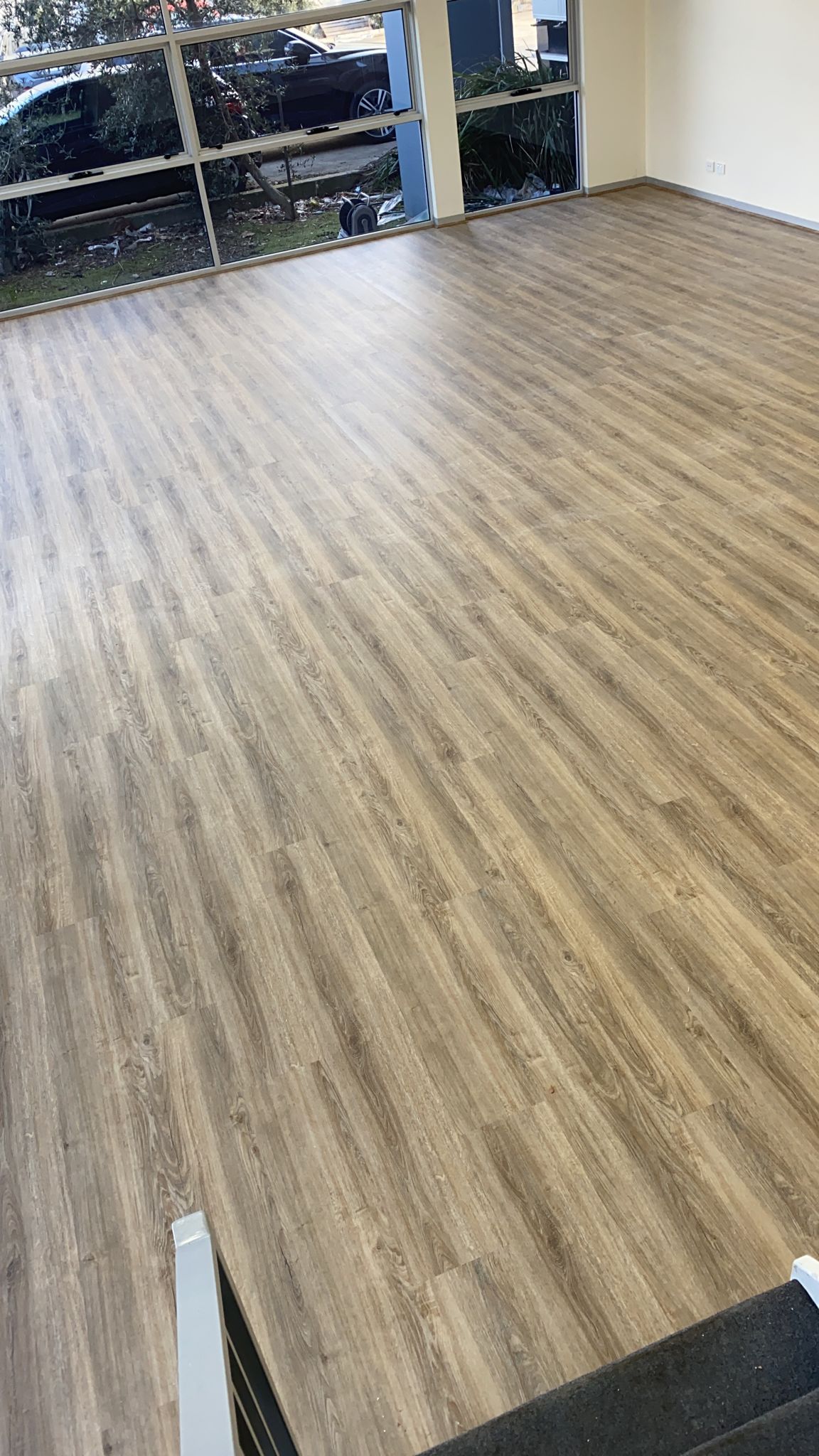 Hybrid 7015 - Salem Oak