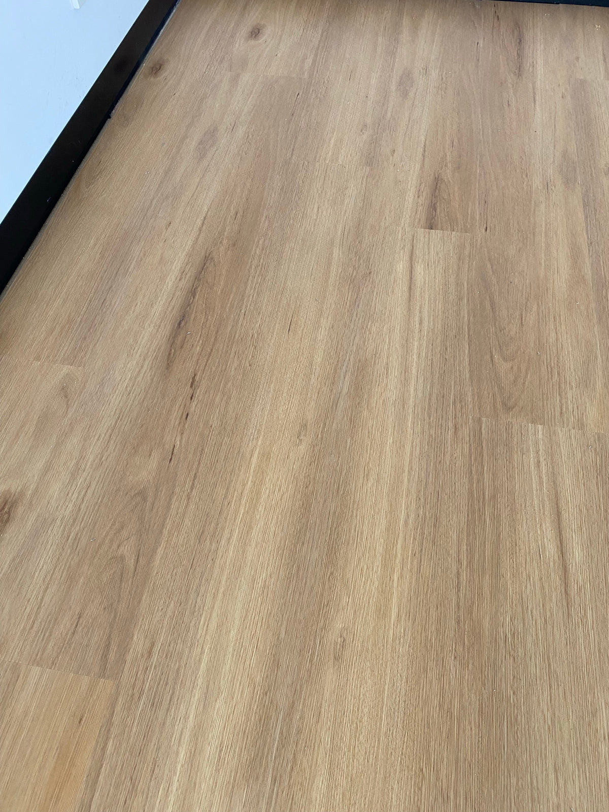 Hybrid 7016 - Blackbutt