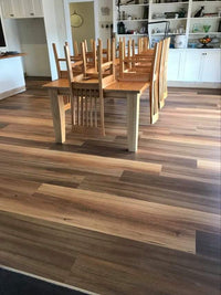 Hybrid 7010 - NSW Spotted Gum