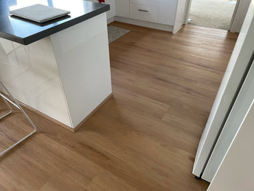 Hybrid 7016 - Blackbutt