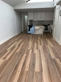 Hybrid 7010 - NSW Spotted Gum
